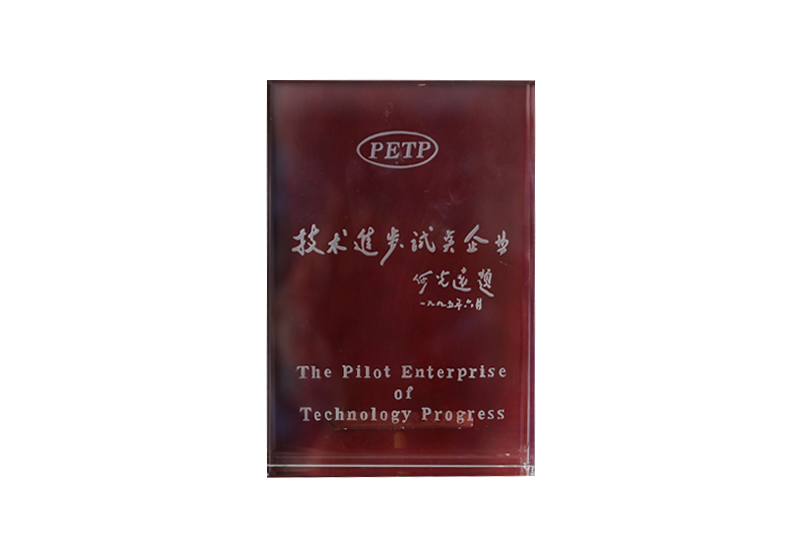 PETP技术进步试点企业